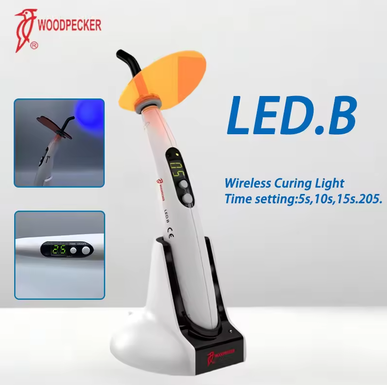 Dental Aushärtung Licht Specht – Teeth Whitening Led Light Bewertung und Preis
