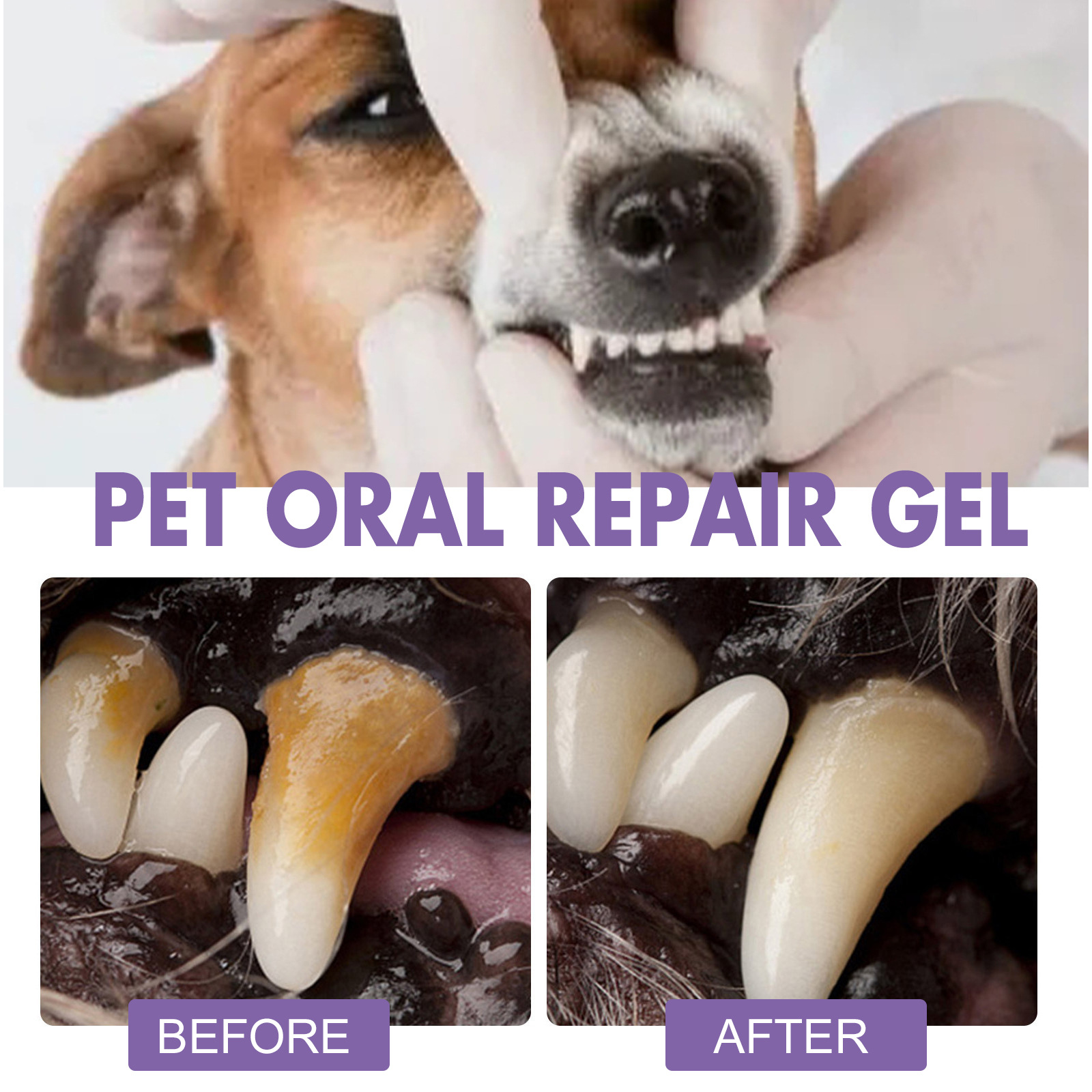 Pet Oral Repair Gel Welpen Zah – Teeth Whitening Gels Bewertung und Preis