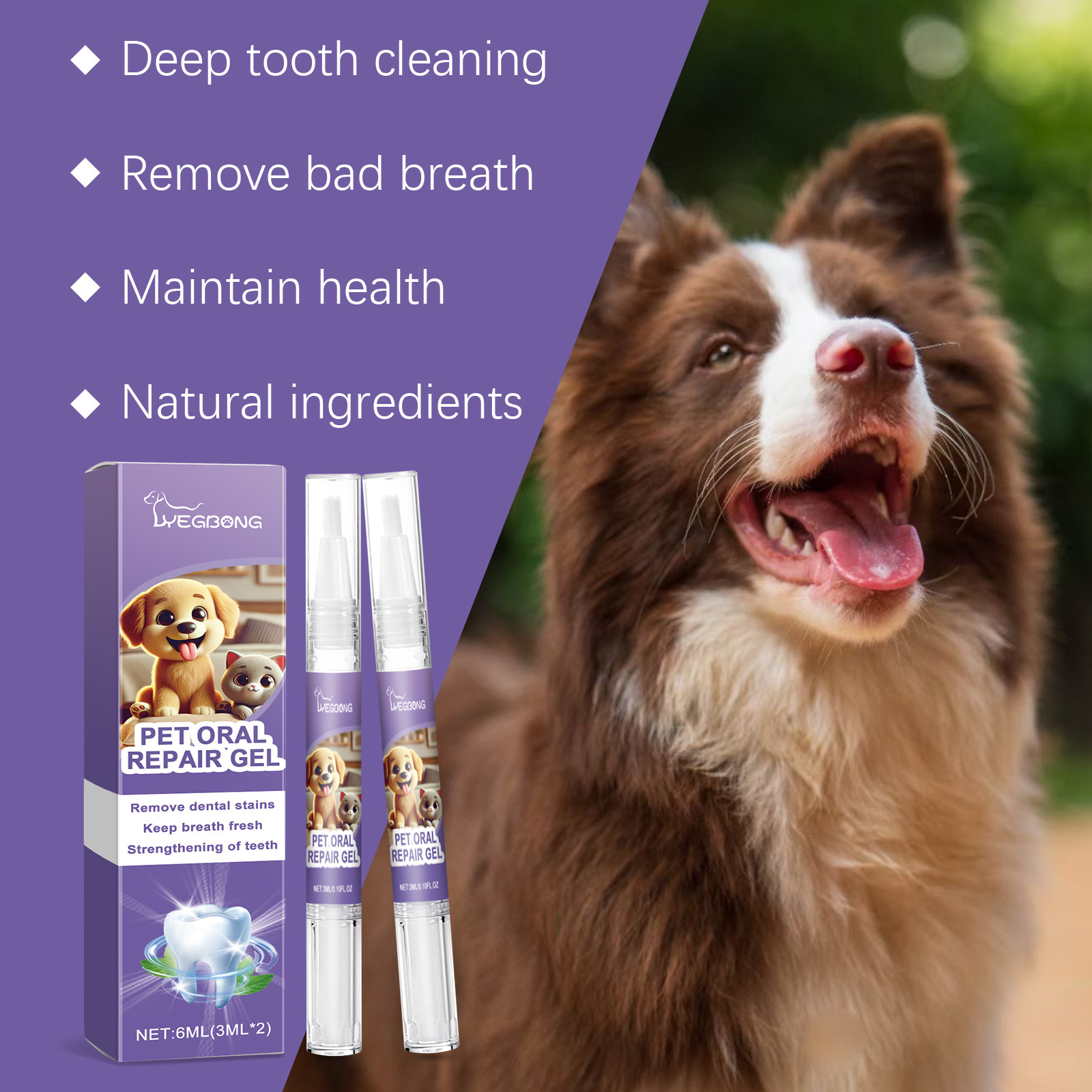 12 stücke Pet Zahnbürste Stift – Teeth Whitening Pen Bewertung und Preis